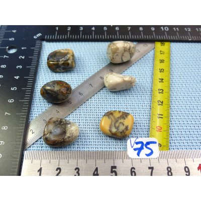 Opale à Dendrites Lot de 6 Pierres Roulées 44g | Minéraux Paubrasil