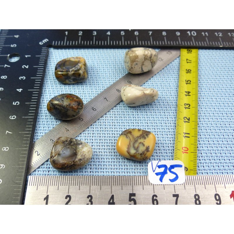 Opale à Dendrites Lot de 6 Pierres Roulées 44g | Minéraux Paubrasil