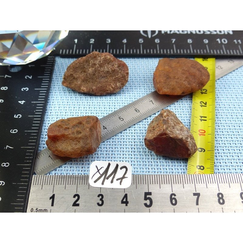 Cornaline Lot de 4 Pierres Brutes 48g | Minéraux Paubrasil