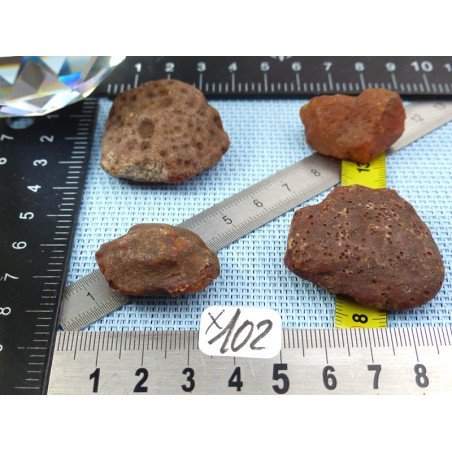 Cornaline Lot de 4 Pierres Brutes 59g | Minéraux Paubrasil