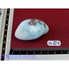 Larimar - Pectolite bleue pierre semi roulée Q Extra 54gr40 .