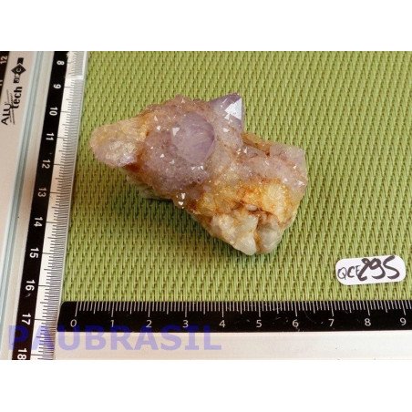 Quartz Cactus dit Esprit Q EXTRA 79g