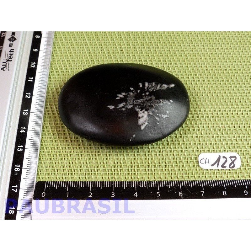 Pierre Chrysanthème Chrysanthemum stone 73gr