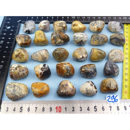 Opale à Dendrites Pierre Roulée à l unité de 12 à 16 gr | Minéraux Paubrasil