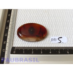 Cabochon en Agate Montana - Agate Plume Q Extra 8gr