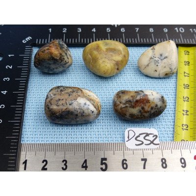 Opale à Dendrites Lot de 5 Pierres Semi Roulées 52g | Minéraux Paubrasil
