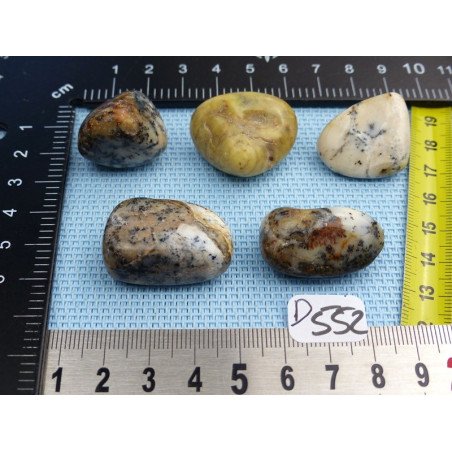 Opale à Dendrites Lot de 5 Pierres Semi Roulées 52g | Minéraux Paubrasil
