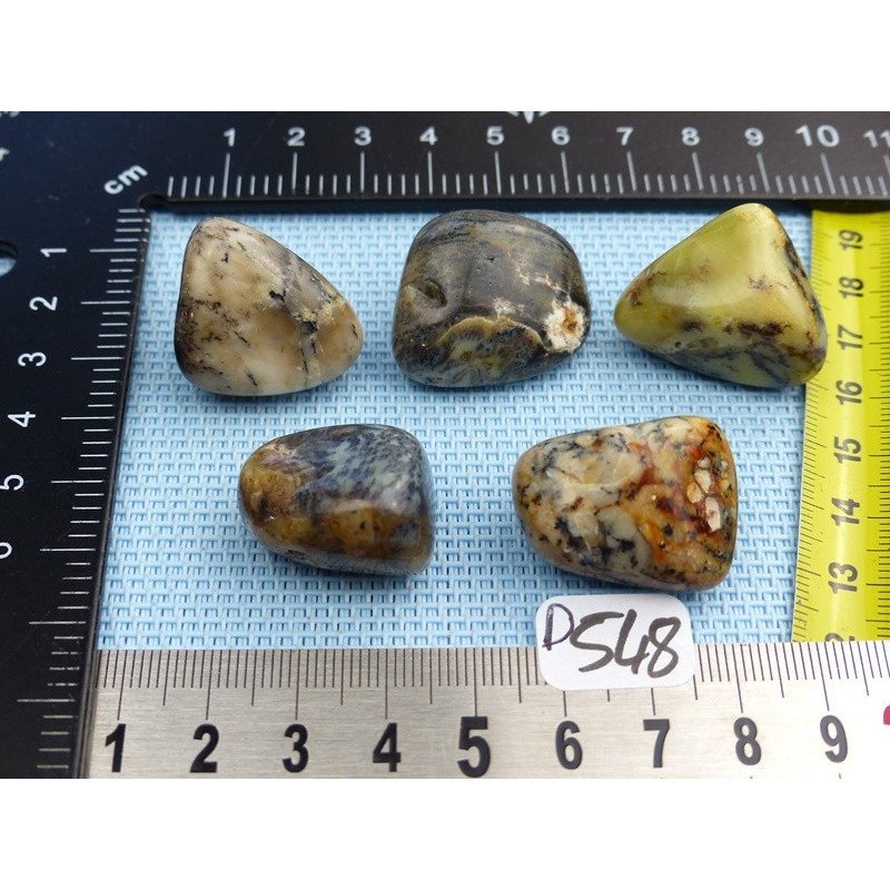 Opale à Dendrites Lot de 5 Pierres Semi Roulées 55g | Minéraux Paubrasil