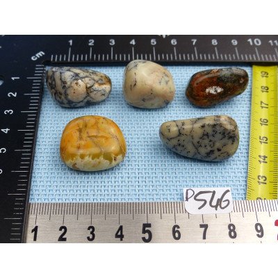 Opale à Dendrites Lot de 5 Pierres Semi Roulées 48g | Minéraux Paubrasil