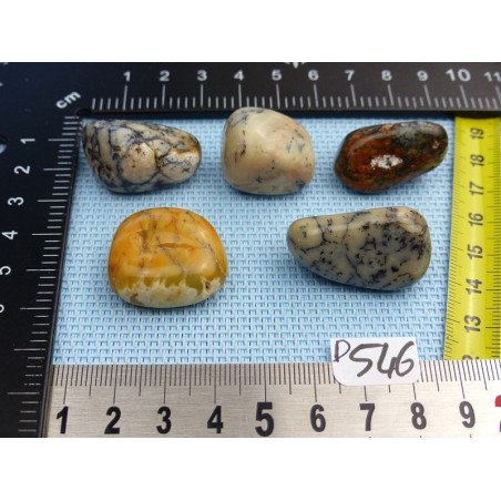 Opale à Dendrites Lot de 5 Pierres Semi Roulées 48g | Minéraux Paubrasil
