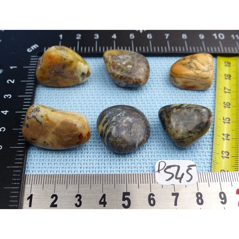 Opale à Dendrites Lot de 6 Pierres Semi Roulées 57g | Minéraux Paubrasil