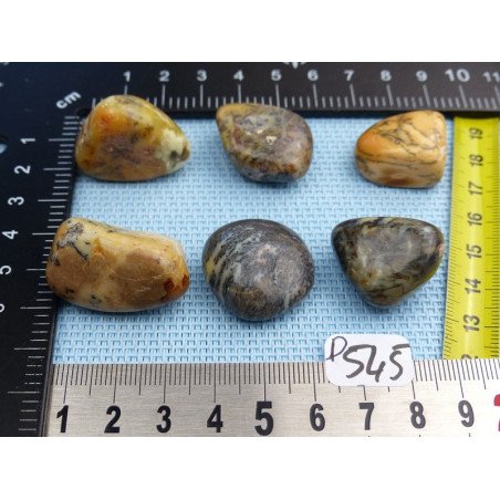 Opale à Dendrites Lot de 6 Pierres Semi Roulées 57g | Minéraux Paubrasil