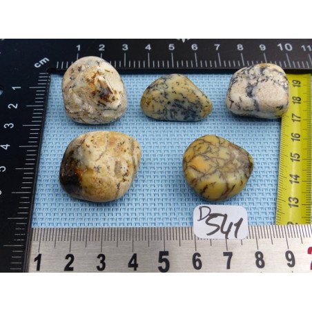 Opale à Dendrites Lot de 5 Pierres Semi Roulées 54g | Minéraux Paubrasil