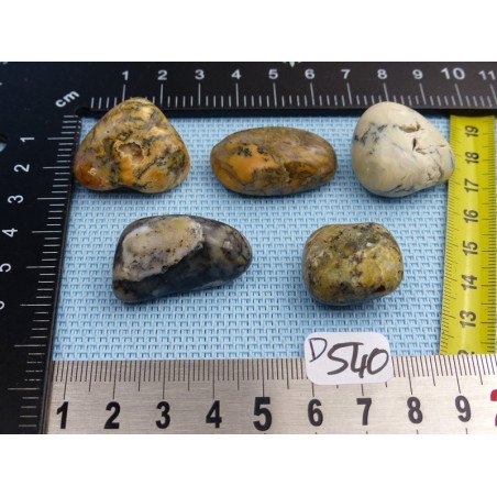 Opale à Dendrites Lot de 5 Pierres Semi Roulées 46g | Minéraux Paubrasil
