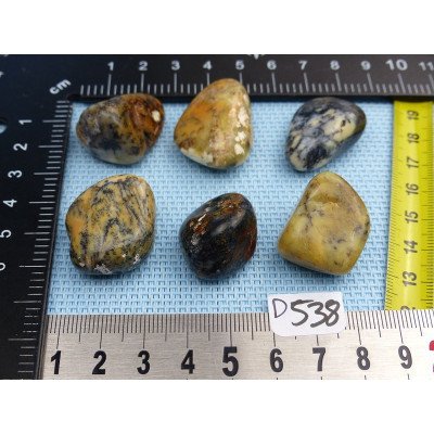 Opale à Dendrites Lot de 6 Pierres Semi Roulées 59g | Minéraux Paubrasil