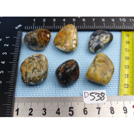 Opale à Dendrites Lot de 6 Pierres Semi Roulées 59g | Minéraux Paubrasil