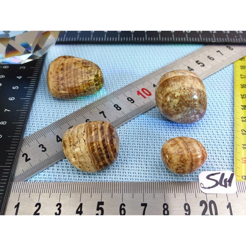 Aragonite Zonée Lot de 4 Pierres Roulées 100g | Minéraux Paubrasil