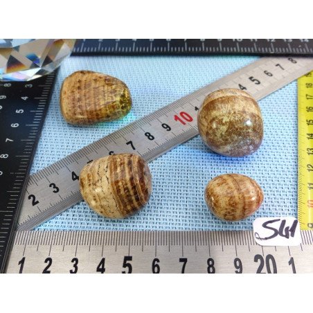 Aragonite Zonée Lot de 4 Pierres Roulées 100g | Minéraux Paubrasil