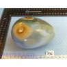 Oeuf en Jaspe Polychrome 1100gr 85mm diamètre 120mm long