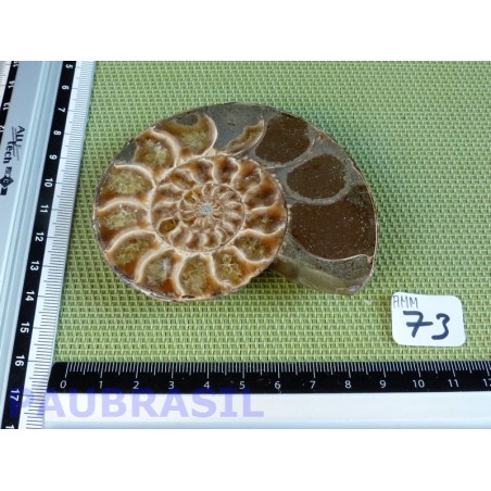 Ammonite une face Polie Q Extra 144g