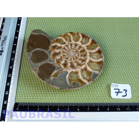 Ammonite une face Polie Q Extra 144g