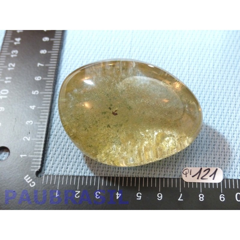 Quartz à inclusions de Chlorite en pierre polie au 2/3 Q Extra 208g