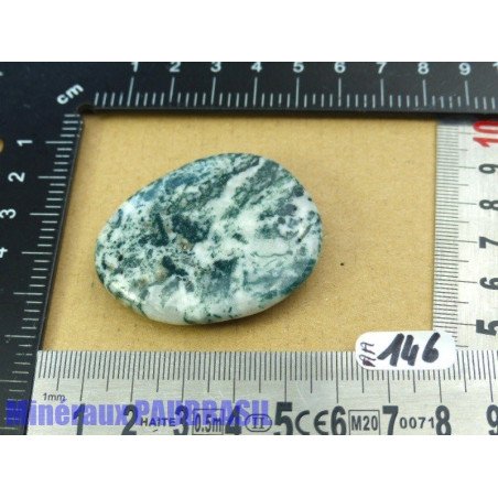 Agate arborisée - agate arbre pierre plate Inde 32gr50