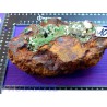 Conichalcite en pierre brute du Mexique 2348g PIECE SUPERBE