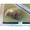 CALCITE JAUNE NOIRE du Chihuahua pierre brute RARE 330g