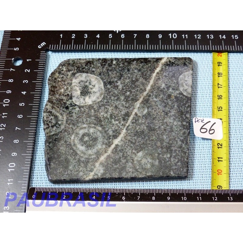 Plaque polie de Diorite orbiculaire de 173gr Rare