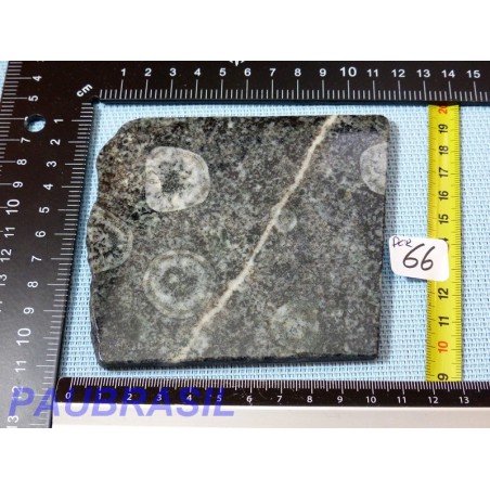 Plaque polie de Diorite orbiculaire de 173gr Rare