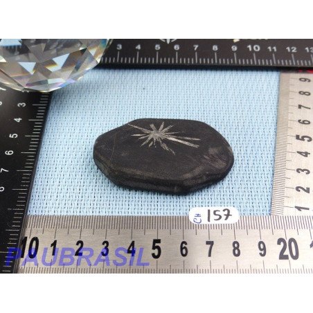 Pierre Chrysanthème Chrysanthemum stone 42gr