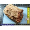 Bois Fossile en tronc une face polie 377gr Madagascar