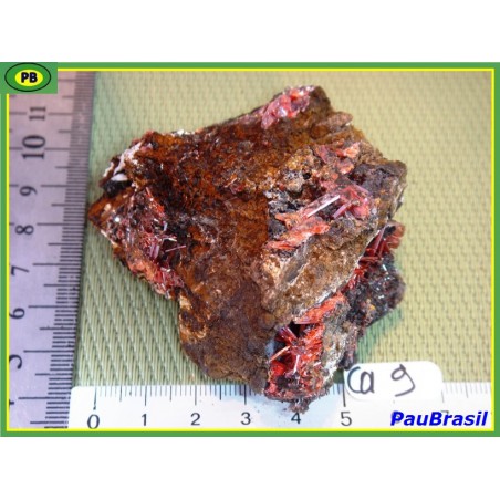 Crocoïte sur Goethite de 122g de Tasmanie