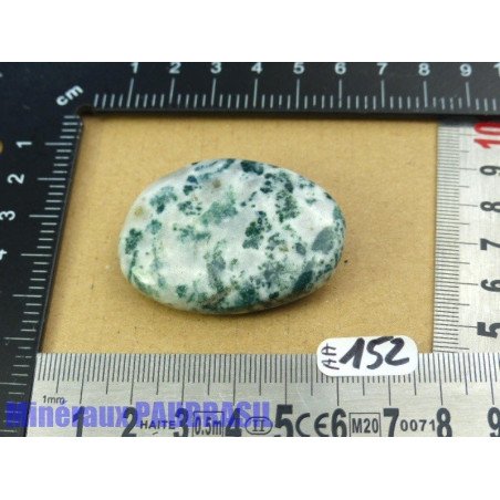 Agate arborisée - agate arbre pierre plate Inde 31gr50