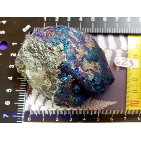 Bornite brute Q Extra 286gr du Montana