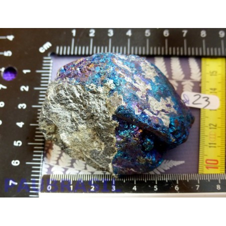 Bornite brute Q Extra 286gr du Montana