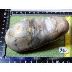 Bois fossilisé en pierre polie de 493g de Madagascar