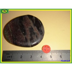 Bois fossilisé en pierre plate 20g