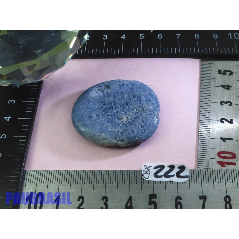 Corail Bleu en Pierre Plate 18g | Minéraux Paubrasil