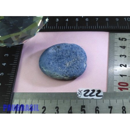 Corail Bleu en Pierre Plate 18g | Minéraux Paubrasil