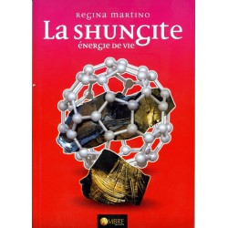 La Shungite énergie de vie de Regina Martino