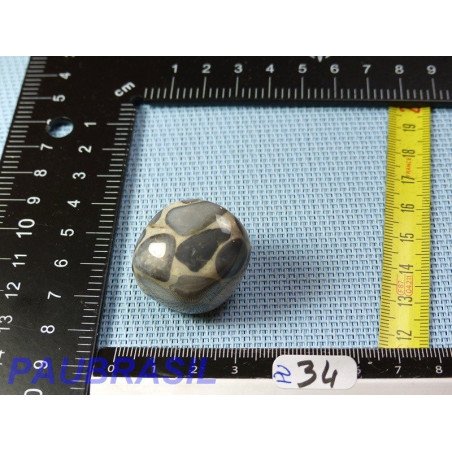 Conglomérat Pudding stone pierre roulée 28g