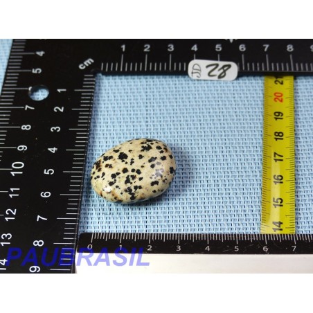 Jaspe Dalmatien Lamparci en mini pierre plate 14gr