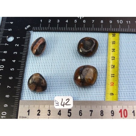 Chiastolite Andalousite Lot de 4 Pierres Roulées 53g | Minéraux Paubrasil