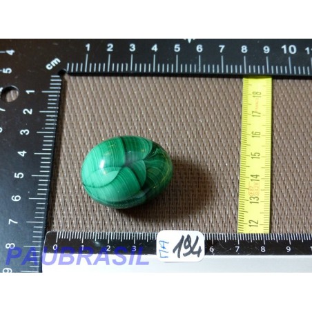 Oeuf MALACHITE Q Extra 57g 28mm diam 36mm long