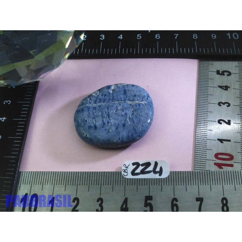 Corail Bleu en Pierre Plate 16g | Minéraux Paubrasil