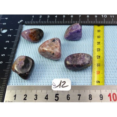 Charoite de Russie Lot de 5 Pierres Roulées 61g | Minéraux Paubrasil