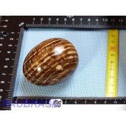 Oeuf en Aragonite Zonée  175g 46mm diamètre 60mm long