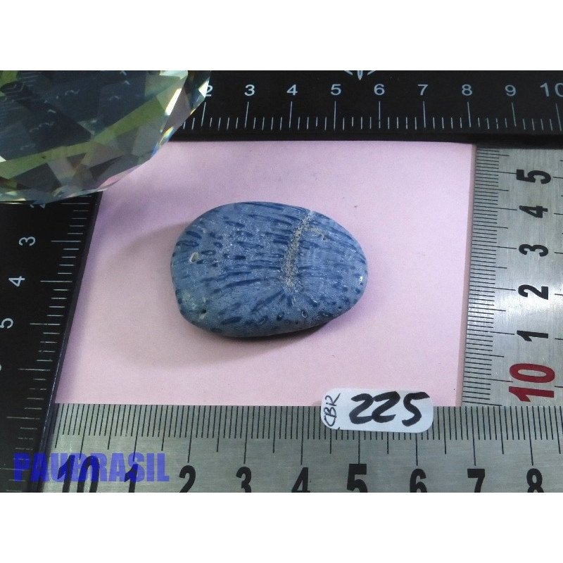 Corail Bleu en Pierre Plate 14gr50 | Minéraux Paubrasil